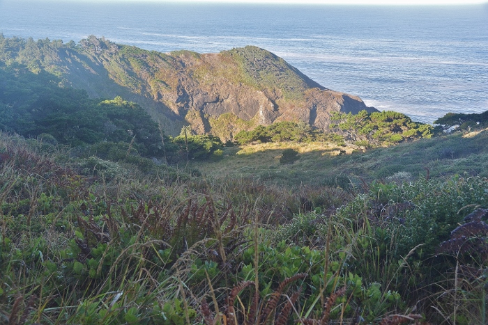 the Headlands